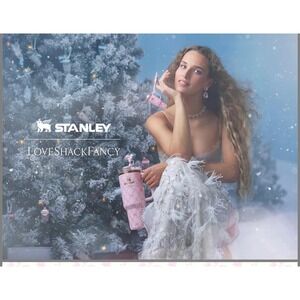 40 oz Stanley LSF Baby Bow Peppermint Tumbler - Pink‎ Bow Design Hydration Mug